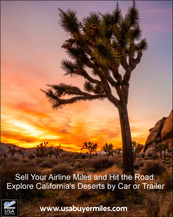 desert-california-usa